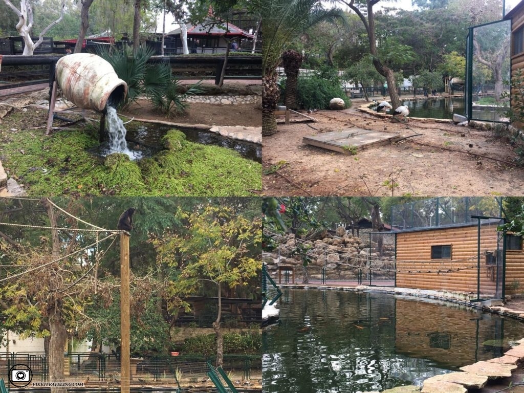 Зоопарк Хай-Кеф в Ришон-ле-Ционе, Израиль