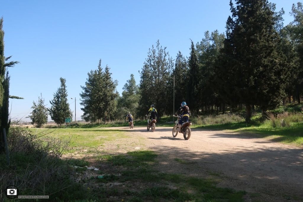 Езда на спорт-байках в израильском лесу. Латрун