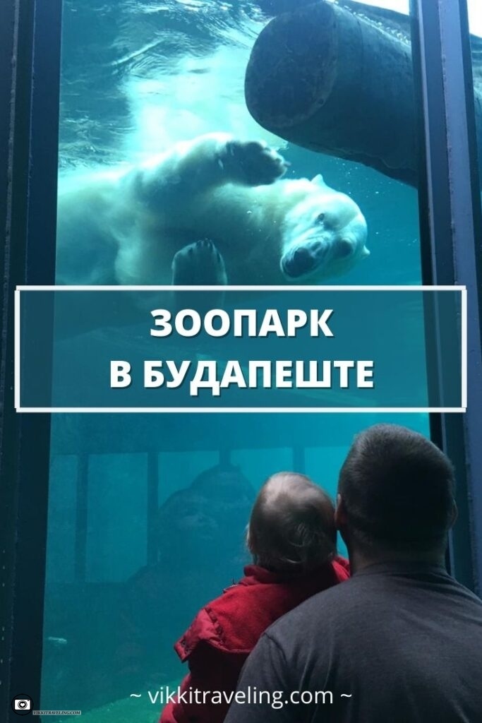 Зоопарк в Будапеште | Vikkitraveling Blog