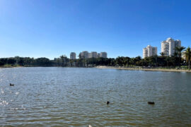 Озеро в парке Менахем Бегин в Тель-авиве | Vikki Traveling Blog