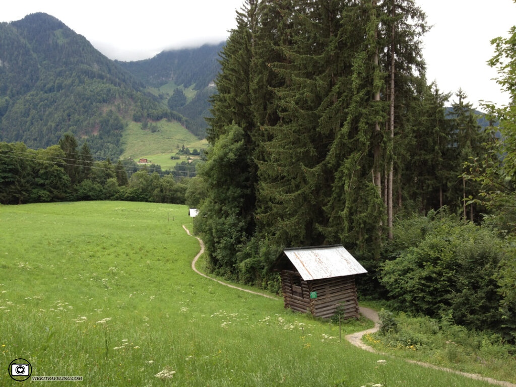 Тропинка к ущелью Liechtensteinklamm, Австрия | Vikkitraveling Blog