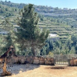 Библейский зоопарк в Иерусалиме | Vikkitraveling Blog