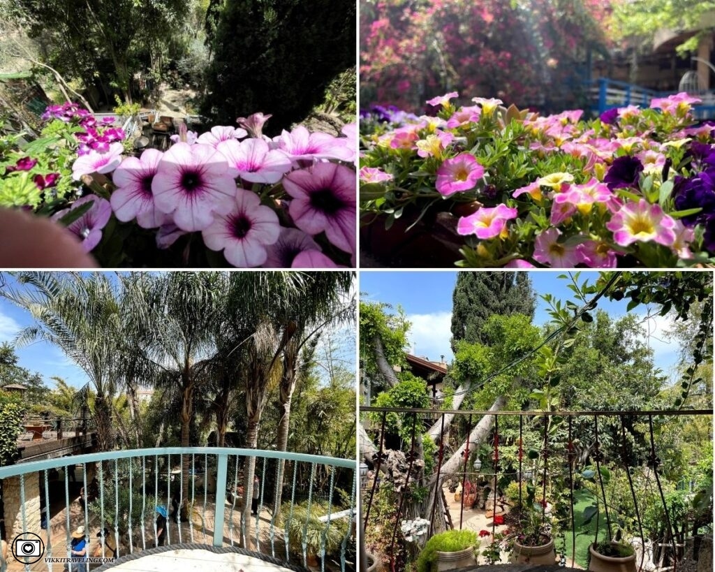 Цветы в садах Эльмона. Джулис | Vikkitraveling Blog