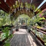 Мост в садах Эльмона. Джулис | Vikkitraveling Blog