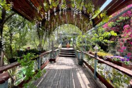 Мост в садах Эльмона. Джулис | Vikkitraveling Blog