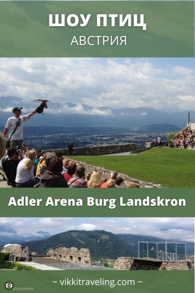 Шоу птиц, замок Ландскрон в Австрии | Vikkitraveling Blog